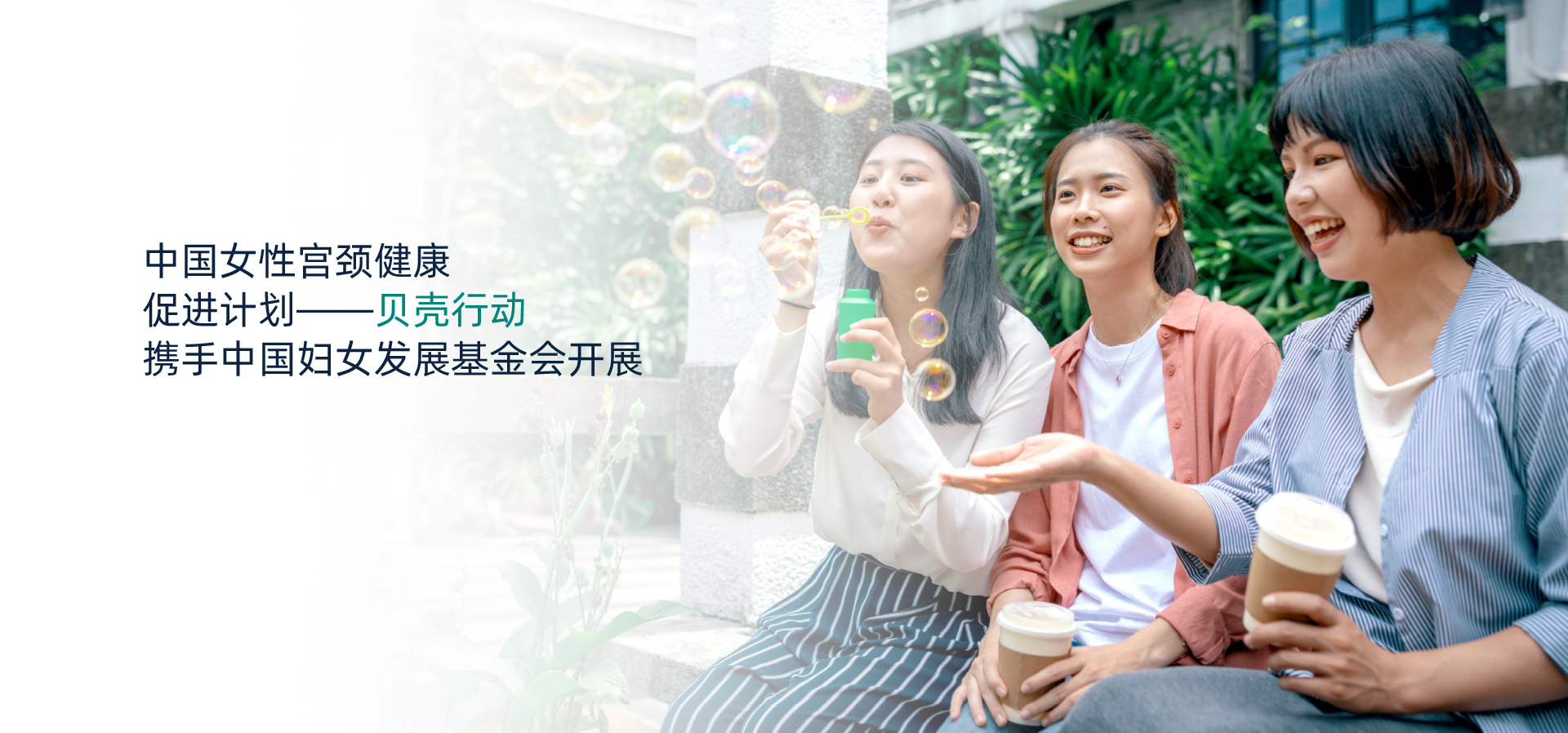 贝壳行动
