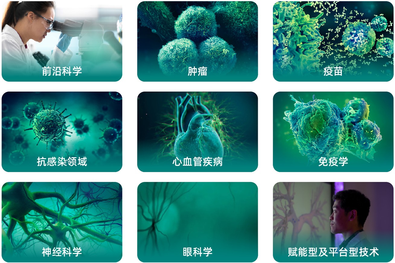 关注领域