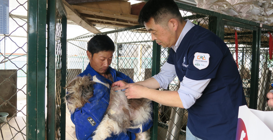 中国狂犬病防治项目