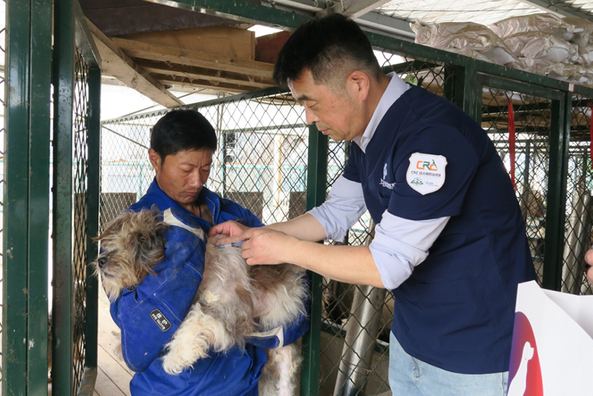 中国狂犬病防治项目